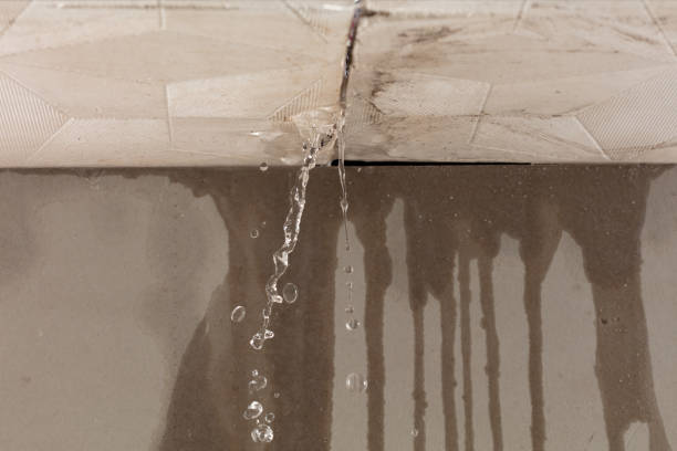 Professional Water Damage Repair technician working in Monticello, KY
